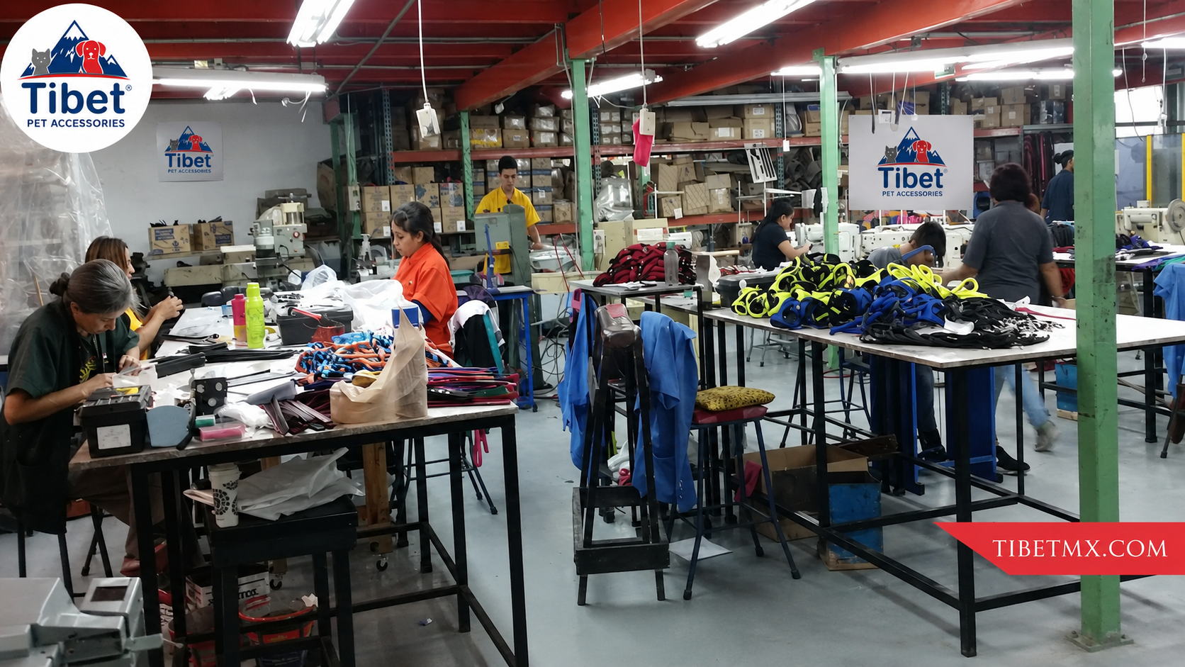 Vista general del taller Tibet